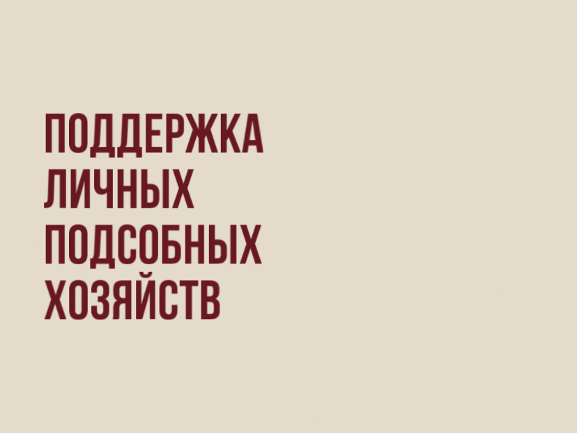 Поддержка личных подсобных хозяйств.