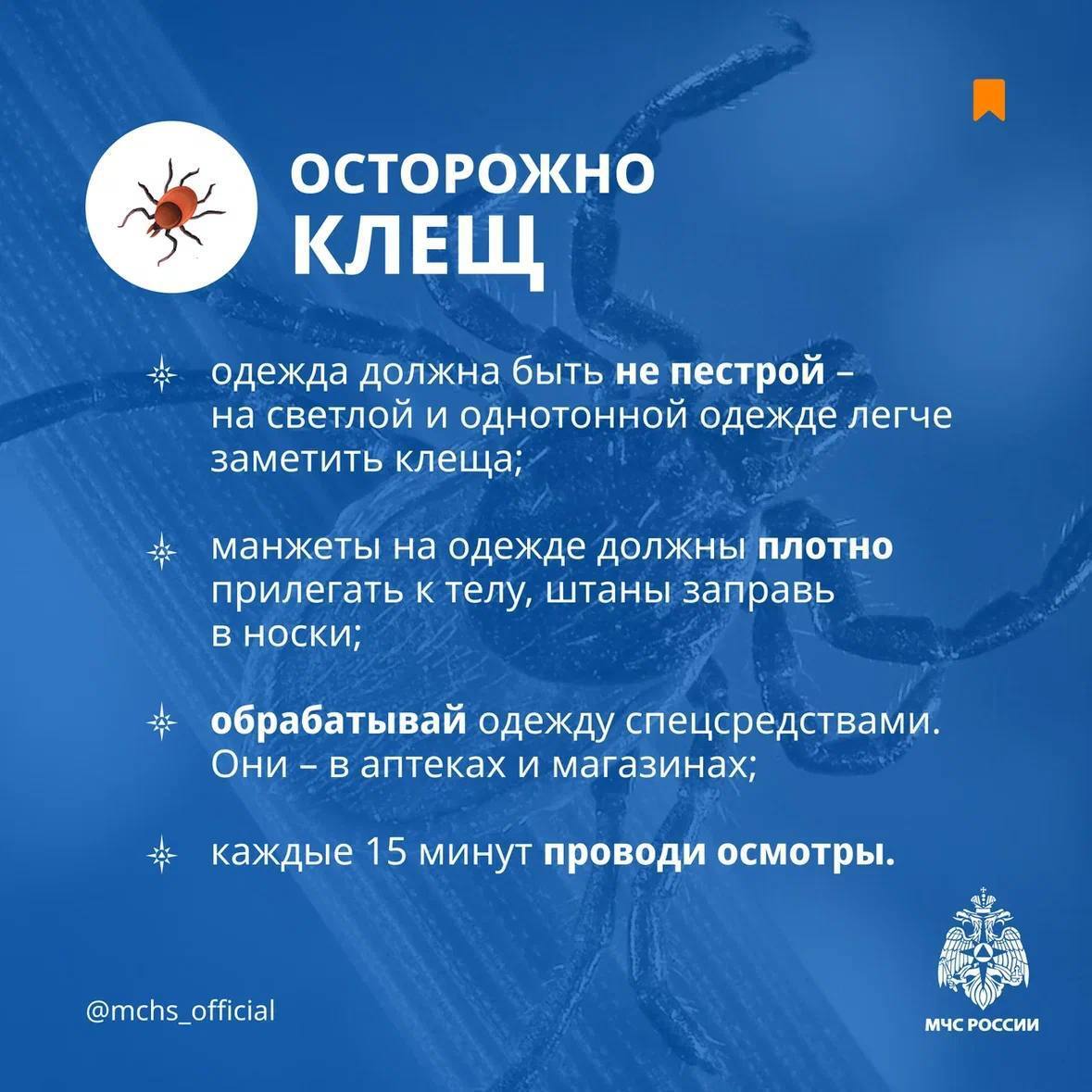 Не дай себя укусить клещу.