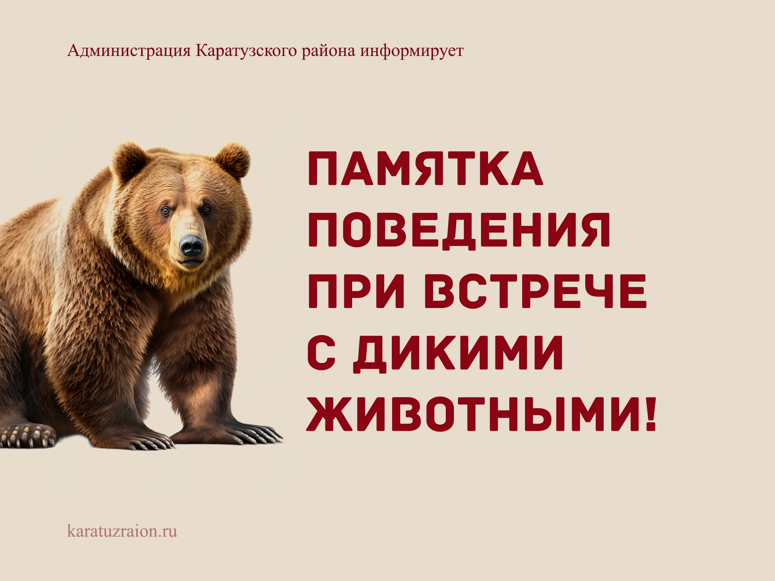 Памятка поведения при встрече с дикими животными!.