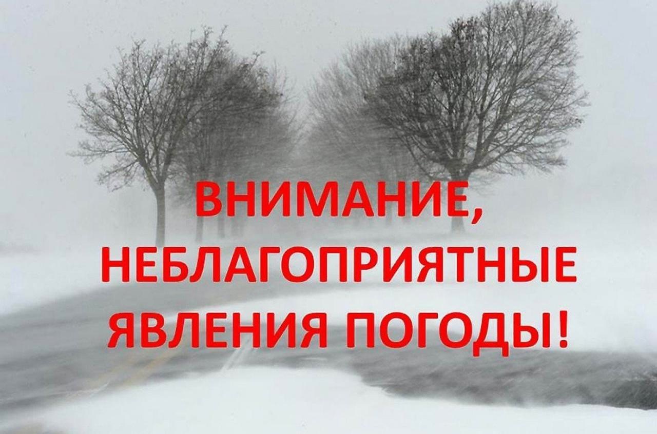 Днем 22.12.23 местами ожидается сильный юго-западный ветер, порывы 15-17 м/с.