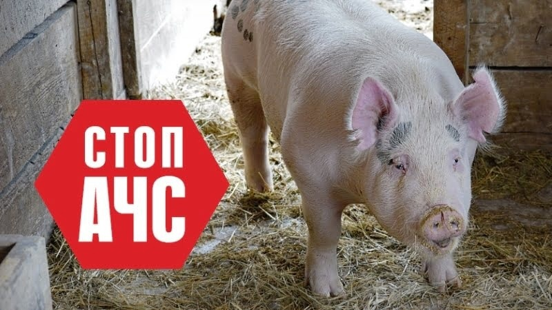 Памятка населению по АЧС.
