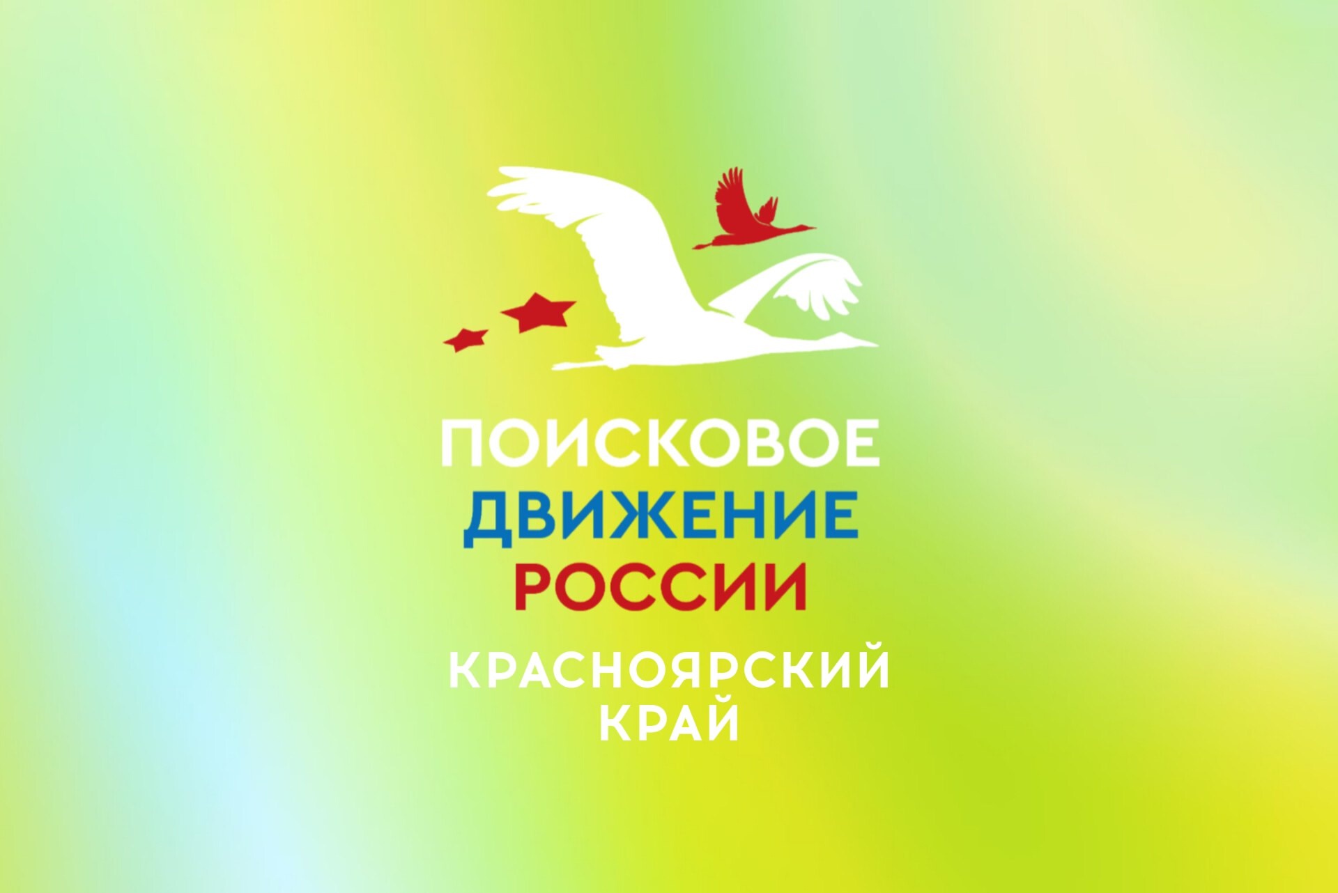 «Поисковое движение России» в Красноярском крае.