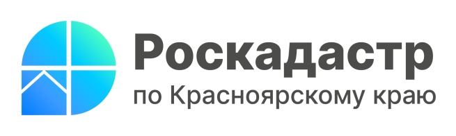 В краевом Роскадастре рассказали про исправление реестровых ошибок.