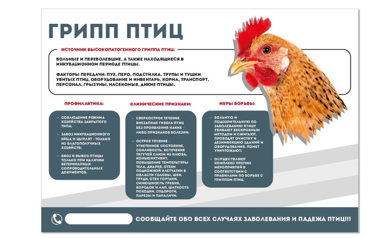 ГРИПП ПТИЦ.