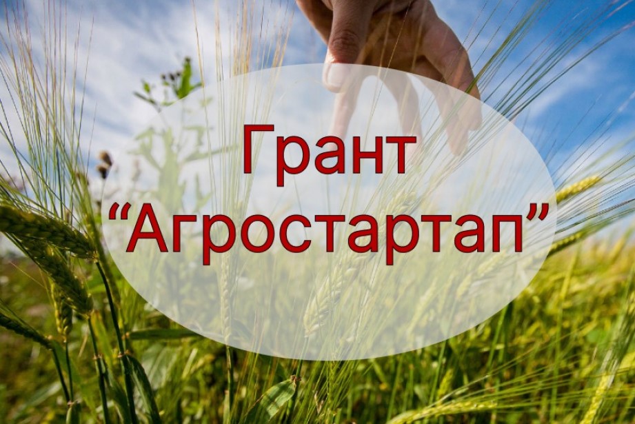 Старт отбора получателей грантов «Агростартап».