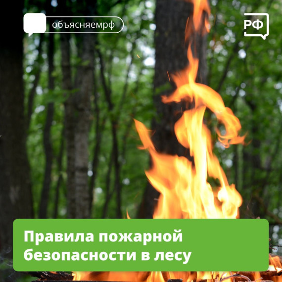В крае введен режим повышенной готовности к паводкам и лесным пожарам. В крае введен режим повышенной готовности к паводкам и лесным пожарам.