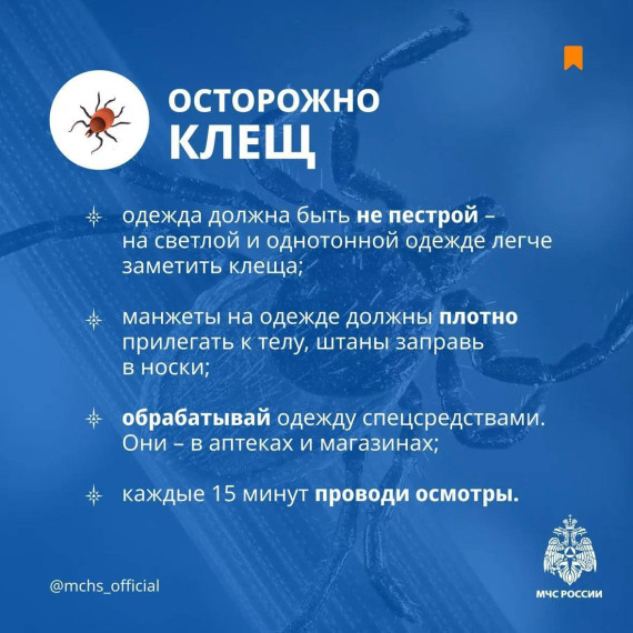 Не дай себя укусить клещу. Не дай себя укусить клещу.
